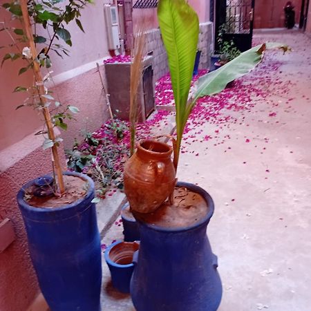 Riad Le Shams Marrakesz Zewnętrze zdjęcie
