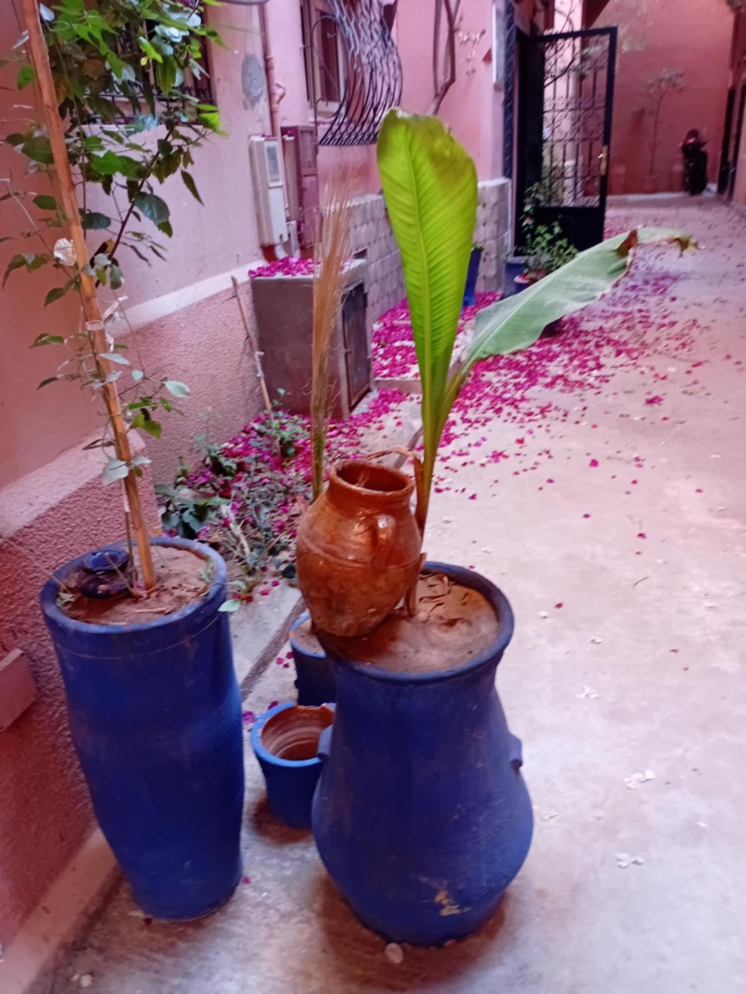 Riad Le Shams Marrakesz Zewnętrze zdjęcie